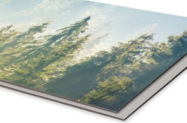 DIMEX | Dibond doska za kuchynskú linku | DBW-18060-141 Hmla nad lesom | 180 x 60 cm