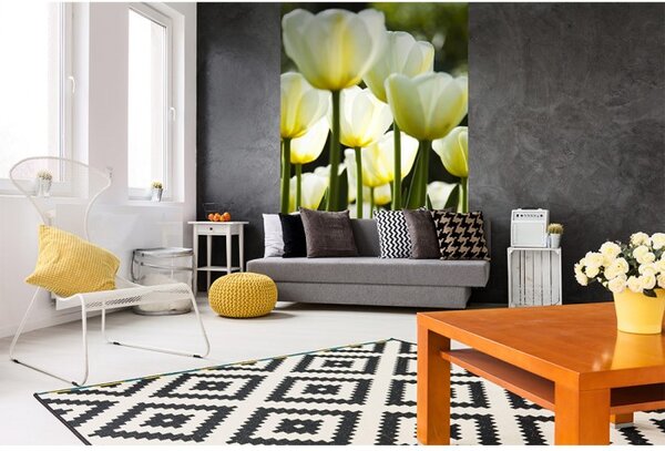 DIMEX | Vliesové fototapety na stenu Biele tulipány MS-2-0127 | 150 x 250 cm | žltá, zelená, biela