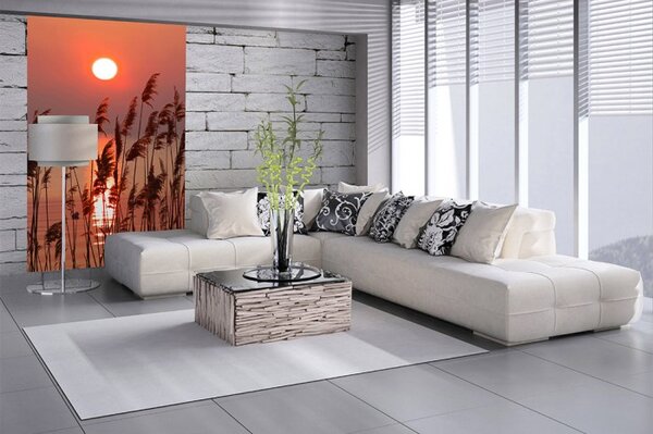 DIMEX | Vliesové fototapety na stenu Rákos na jazere MS-2-0089 | 150 x 250 cm | červená, béžová
