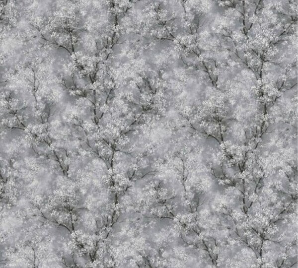 A.S. Création | Vliesová tapeta na stenu Ampir 37542-1 | 1,06 x 10,05 m | biela, čierna, metalická, šedá