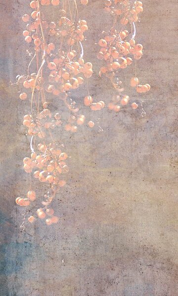 DIMEX | Vliesové fototapety na stenu Abstrakt ríbezle MS-2-0379 | 150 x 250 cm | béžová, viacfarebná