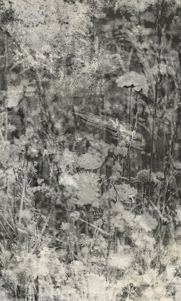 DIMEX | Vliesové fototapety na stenu Prírodný šedý abstrakt MS-2-0361 | 150 x 250 cm | šedá, čierna
