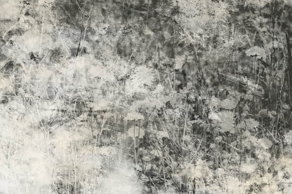 DIMEX | Vliesové fototapety na stenu Prírodný šedý abstrakt MS-5-0361 | 375 x 250 cm | šedá, čierna