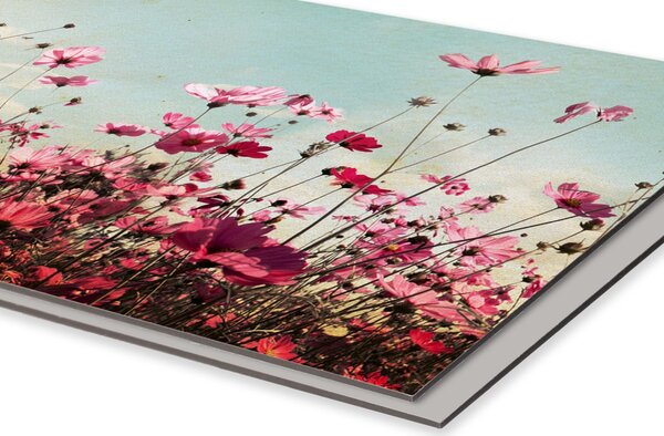 DIMEX | Dibond doska za kuchynskú linku | DBW-10060-126 Jarné pole | 100 x 60 cm