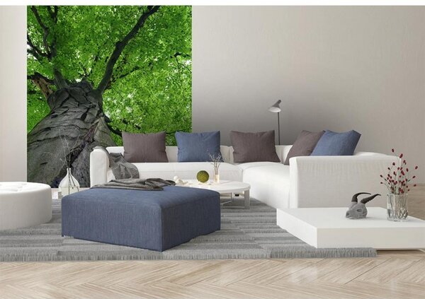 DIMEX | Vliesová fototapeta na stenu Koruna stromu MS-3-0101 | 225 x 250 cm | šedá, zelená