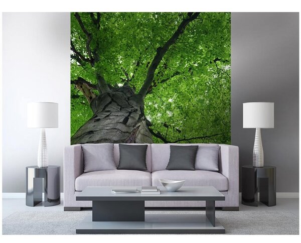 DIMEX | Vliesová fototapeta na stenu Koruna stromu MS-3-0101 | 225 x 250 cm | šedá, zelená