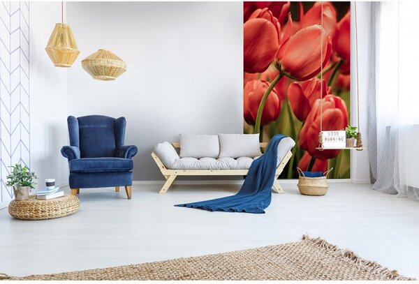 DIMEX | Vliesové fototapety na stenu Červené tulipány MS-2-0128 | 150 x 250 cm | červená, zelená