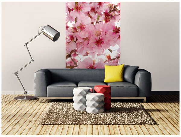 DIMEX | Vliesové fototapety na stenu Kvety jabloní MS-2-0108 | 150 x 250 cm | ružová, biela, béžová