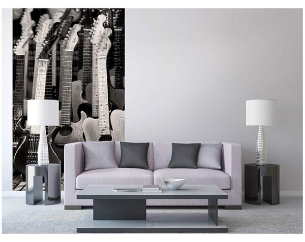 DIMEX | Vliesové fototapety na stenu Gitarová kolekcia MS-2-0303 | 150 x 250 cm | čiernobiela