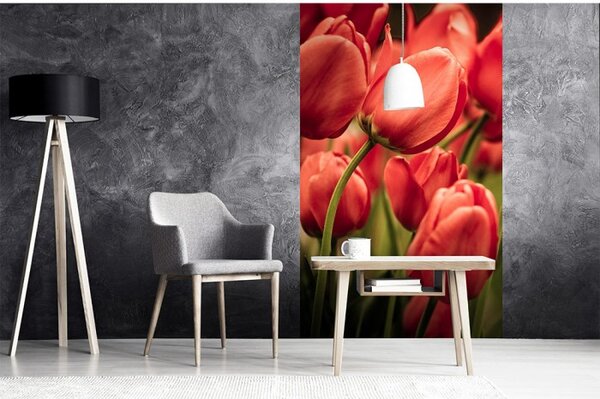 DIMEX | Vliesové fototapety na stenu Červené tulipány MS-2-0128 | 150 x 250 cm | červená, zelená