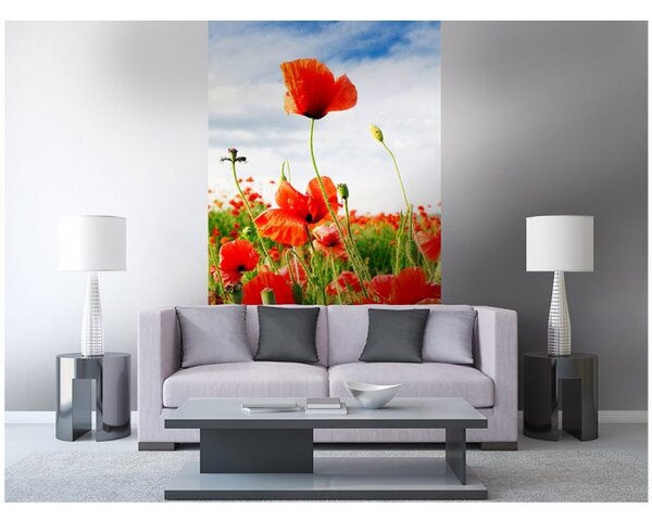DIMEX | Vliesové fototapety na stenu Červený mak MS-2-0090 | 150 x 250 cm | červená, zelená, modrá, biela