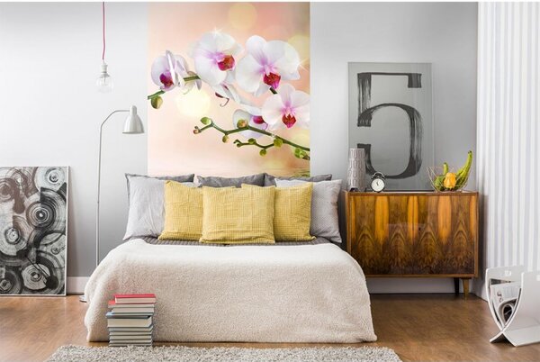 DIMEX | Vliesové fototapety na stenu Biela orchidea MS-2-0147 | 150 x 250 cm | biela, zelená, ružová, oranžová