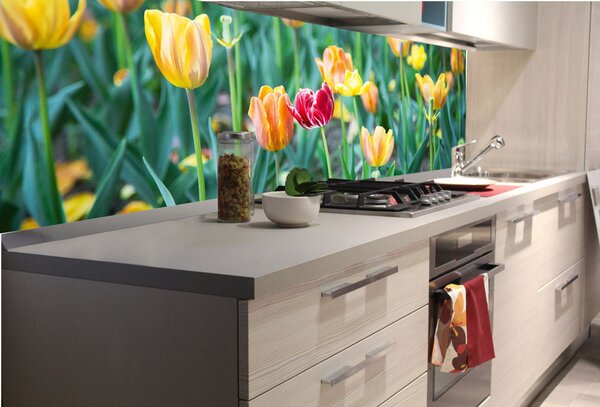 DIMEX | Fototapeta do kuchyne Tulipány KI-180-122 | 180 x 60 cm | zelená, červená, žltá