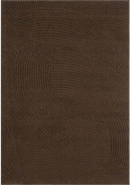 Hnedý koberec 120x170 cm Zephyr – ESTE