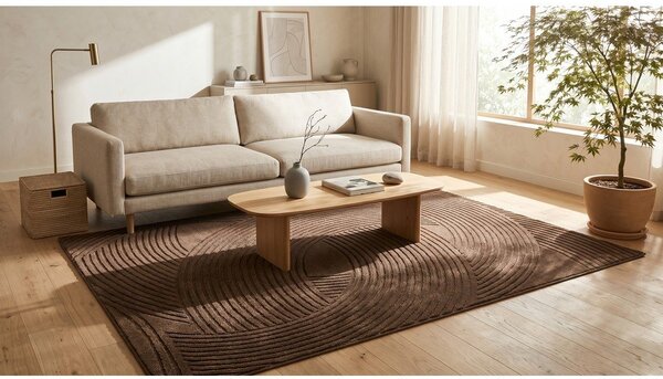 Hnedý koberec 120x170 cm Zephyr – ESTE