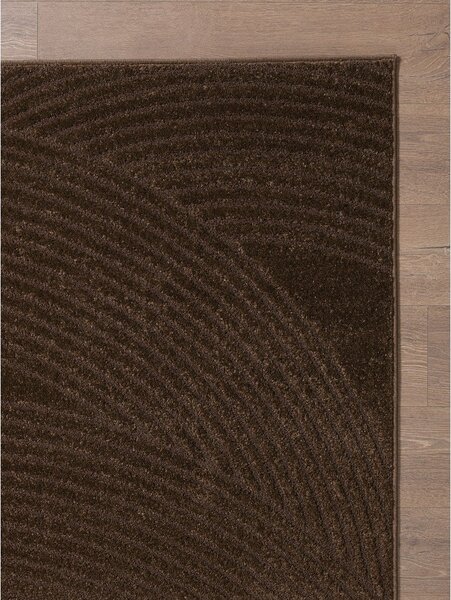 Hnedý koberec 120x170 cm Zephyr – ESTE