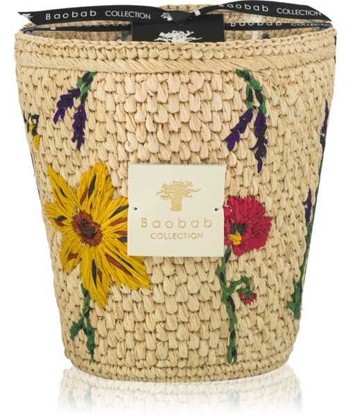 Baobab Collection Vony Ahitra vonná sviečka 1000 g