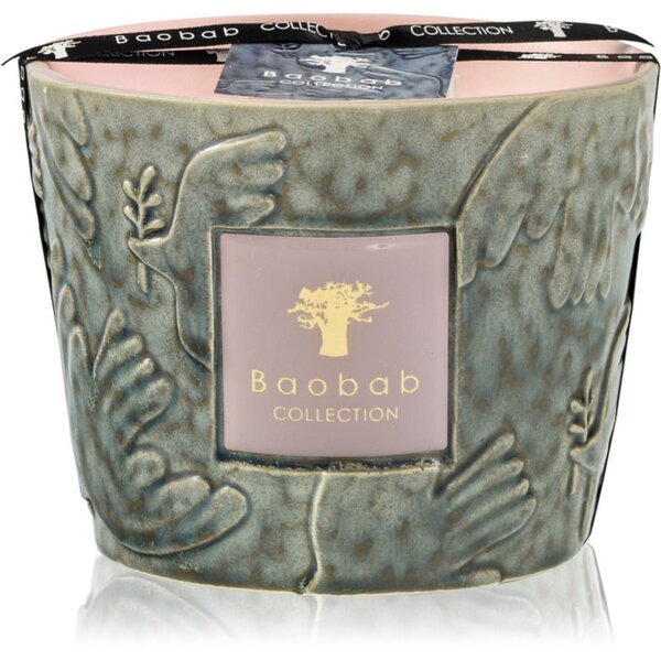 Baobab Collection Paz Colombe vonná sviečka 500 g
