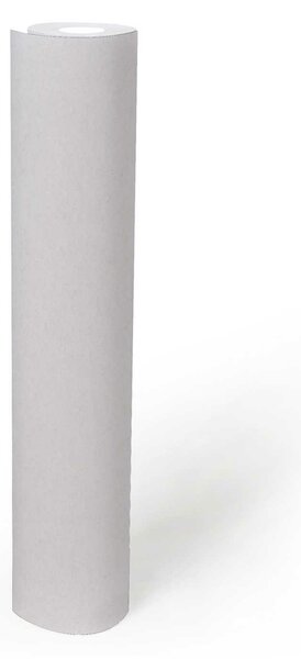 A.S. Création | THERMO pretierateľná vliesová tapeta na stenu Meistervlies 7 Create 39385-1 | 0,53 x 10,05 m | biela pretierateľná, biela, šedá