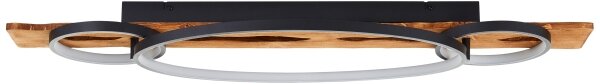 Brilliant - LED stmievateľné stropné svietidlo PIRUS LED/40W/230V 30x90 cm