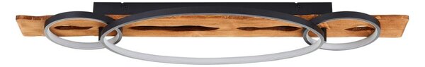 Brilliant - LED stmievateľné stropné svietidlo PIRUS LED/40W/230V 30x90 cm