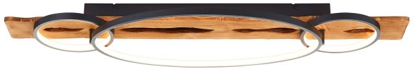 Brilliant - LED stmievateľné stropné svietidlo PIRUS LED/40W/230V 30x90 cm