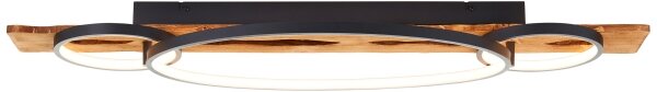 Brilliant - LED stmievateľné stropné svietidlo PIRUS LED/40W/230V 30x90 cm