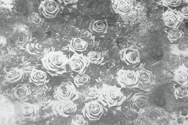 DIMEX | Vliesové fototapety na stenu Abstrakt ruže II. MS-5-0378 | 375 x 250 cm | šedá, biela