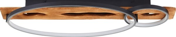 Brilliant - LED stmievateľné stropné svietidlo PIRUS LED/30W/230V 30x70 cm
