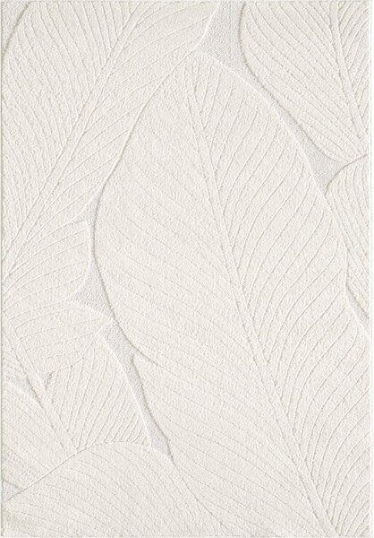 Krémovobiely koberec 120x170 cm Lamina – ESTE