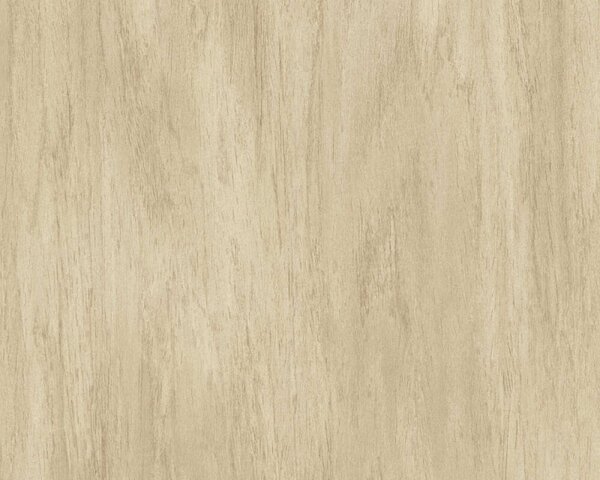 A.S. Création | Vliesová tapeta na stenu Elements 39801-2 | 0,53 x 10,05 m | béžová, hnedá