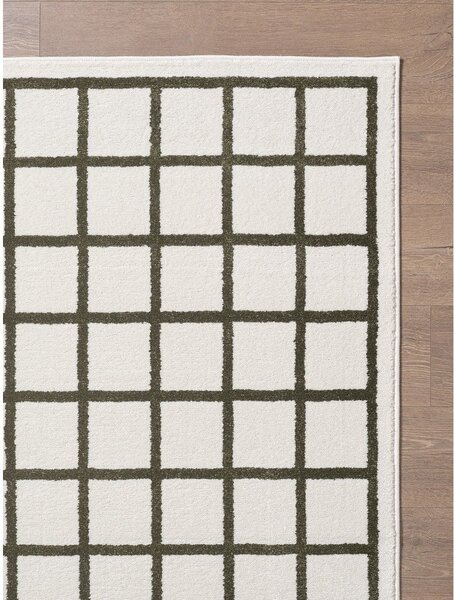 Tmavozelený/krémovobiely koberec 120x170 cm Picnic – ESTE