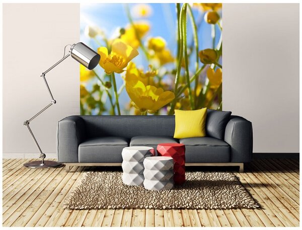 DIMEX | Vliesová fototapeta na stenu Žlté kvety MS-3-0134 | 225 x 250 cm | žltá, zelená, modrá