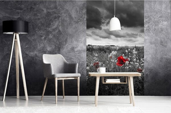 DIMEX | Vliesové fototapety na stenu Čiernobiele vlčie maky MS-2-0091 | 150 x 250 cm | čiernobiela, červená