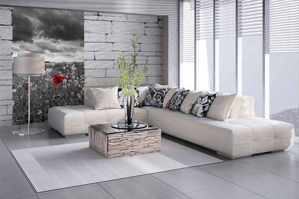DIMEX | Vliesové fototapety na stenu Čiernobiele vlčie maky MS-2-0091 | 150 x 250 cm | čiernobiela, červená