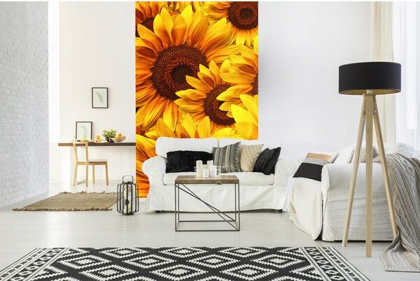 DIMEX | Vliesové fototapety na stenu Lán slnečníc MS-2-0129 | 150 x 250 cm | žltá, hnedá