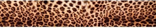 DIMEX | Fototapeta do kuchyne Leopardia koža KI-350-069 | 350 x 60 cm | béžová, čierna, hnedá