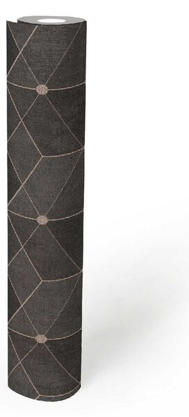 A.S. Création | Vliesová tapeta na stenu Titanium 3 38202-4 | 0,53 x 10,05 m | metalická, hnedá