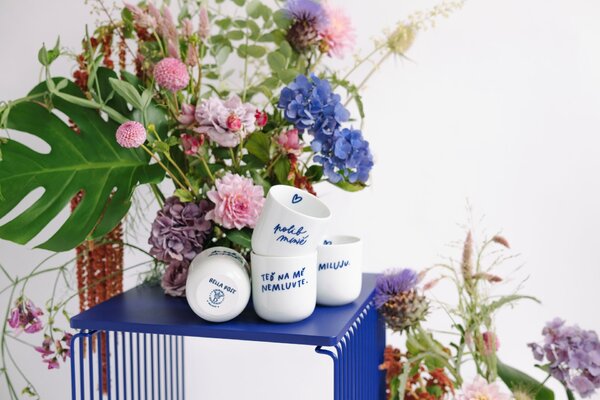 Porcelánový hrnček Bydlím u své kočky 270 ml