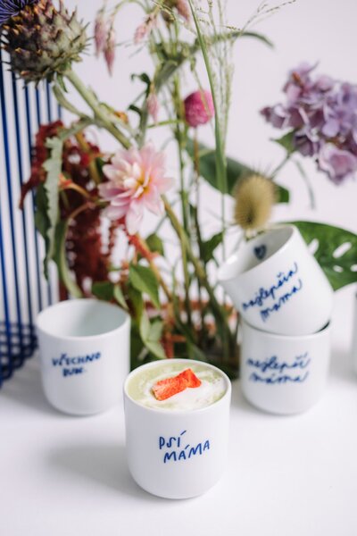 Porcelánový hrnček Bydlím u své kočky 270 ml