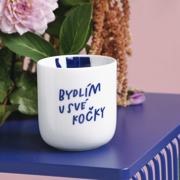 Porcelánový hrnček Bydlím u své kočky 270 ml