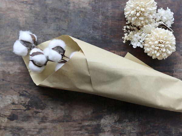 Dekoratívne sušené kvety Cotton Flowers