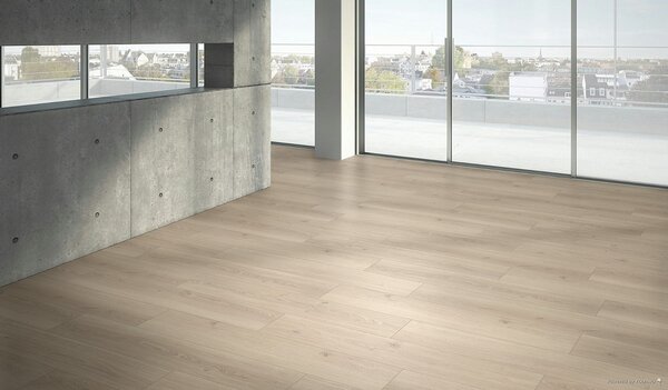 PARADOR Basic 600 Dub studioline pure natural jemne matná štruktúra 1748187 - 2.19 m2