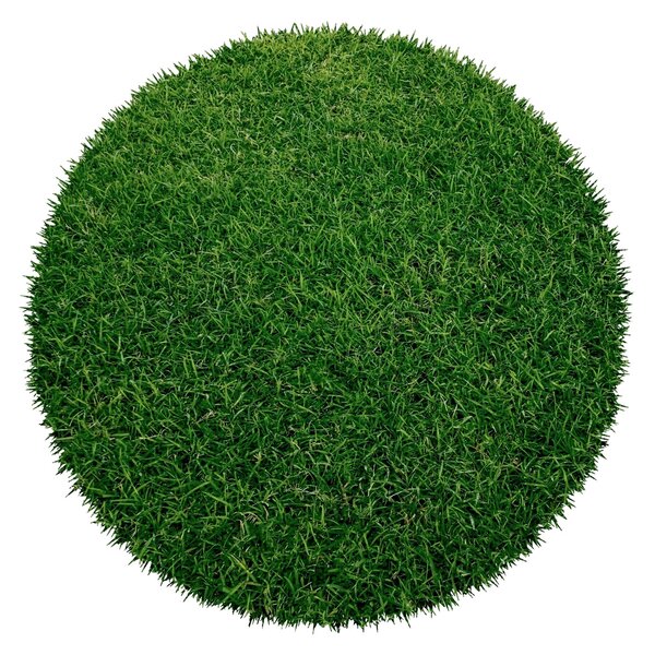 Lano - kvalitní umělé trávy a metráže Kruhový trávny koberec Botanic - 200x200 (priemer) kruh