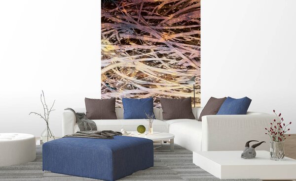 DIMEX | Vliesové fototapety na stenu Abstrakt seno I. MS-2-0381 | 150 x 250 cm | hnedá, béžová, viacfarebná