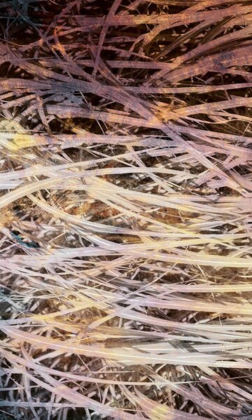 DIMEX | Vliesové fototapety na stenu Abstrakt seno I. MS-2-0381 | 150 x 250 cm | hnedá, béžová, viacfarebná
