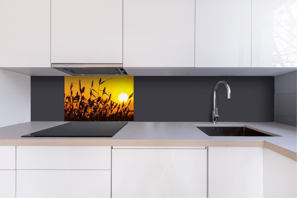 DIMEX | Dibond doska za kuchynskú linku | DBW-06040-128 Západ slnka | 60 x 40 cm