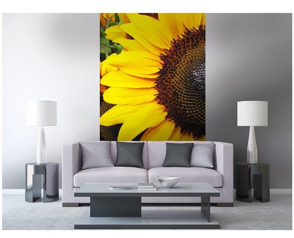 DIMEX | Vliesové fototapety na stenu Slnečnica MS-2-0130 | 150 x 250 cm | žltá, hnedá, zelená