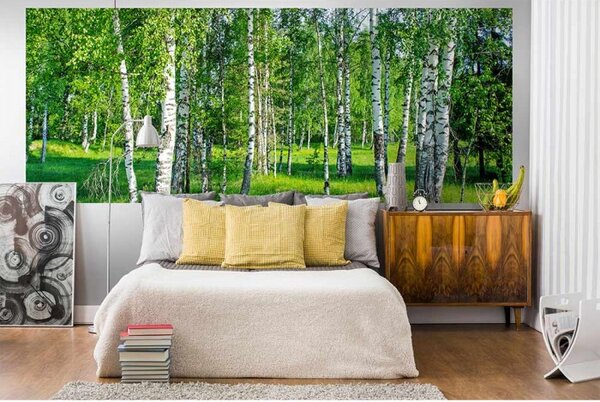 DIMEX | Panoramatická vliesová fototapeta na stenu Brezový háj MP-2-0100 | 375 x 150 cm | biela, čierna, zelená