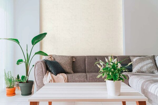 A.S. Création | Vliesová tapeta na stenu Nordic Feeling 79154-4 | 0,53 x 10,05 m | sivá, biela